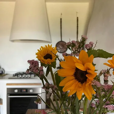 Historic In The Umbrian Hills Casa de Férias *